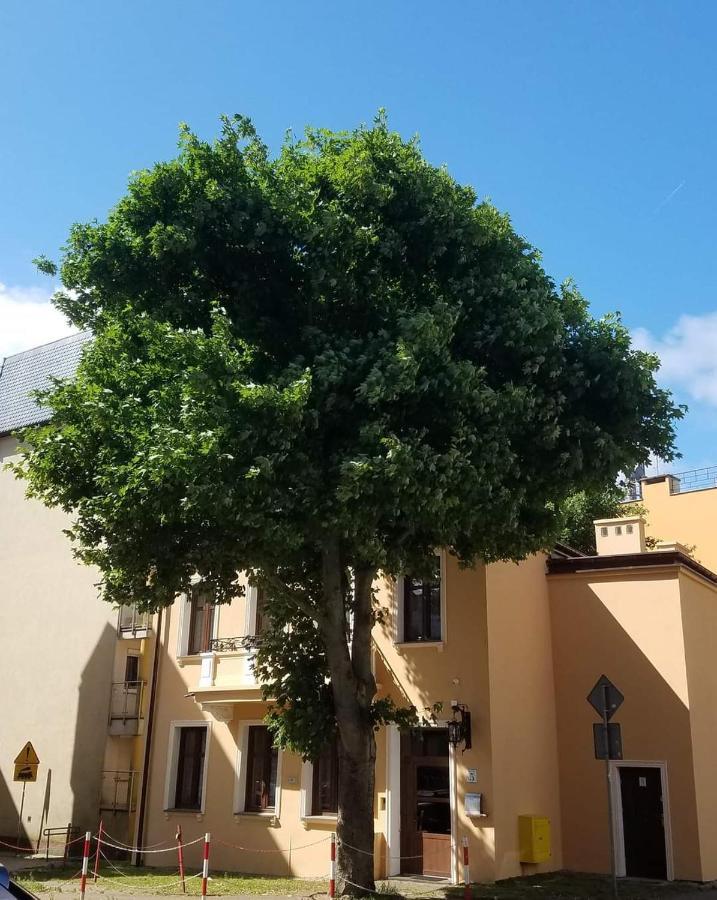 Apartamenty Na Cichej 5 A3 科沃布热格 外观 照片
